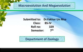 Macroevolution And Megaevolution
Submitted to: Dr.Fakhar Un Nisa
Class: BS-IV
Roll no: 329
Semester: 7th
Department of Zoology
 