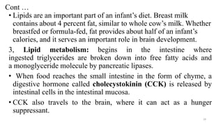 Cont …
• Lipids are an important part of an infant’s diet. Breast milk
contains about 4 percent fat, similar to whole cow’s milk. Whether
breastfed or formula-fed, fat provides about half of an infant’s
calories, and it serves an important role in brain development.
3, Lipid metabolism: begins in the intestine where
ingested triglycerides are broken down into free fatty acids and
a monoglyceride molecule by pancreatic lipases.
• When food reaches the small intestine in the form of chyme, a
digestive hormone called cholecystokinin (CCK) is released by
intestinal cells in the intestinal mucosa.
• CCK also travels to the brain, where it can act as a hunger
suppressant.
29
 