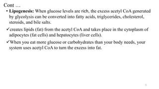 Cont …
• Lipogenesis: When glucose levels are rich, the excess acetyl CoA generated
by glycolysis can be converted into fatty acids, triglycerides, cholesterol,
steroids, and bile salts.
✓creates lipids (fat) from the acetyl CoA and takes place in the cytoplasm of
adipocytes (fat cells) and hepatocytes (liver cells).
✓When you eat more glucose or carbohydrates than your body needs, your
system uses acetyl CoA to turn the excess into fat.
31
 