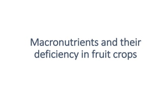 Macronutrients and their
deficiency in fruit crops
 