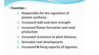 Macronutrient deficiency in plants