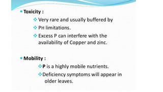Macronutrient deficiency in plants