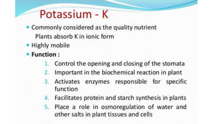 Macronutrient deficiency in plants