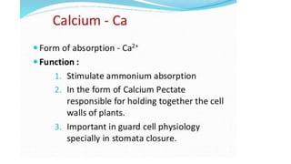 Macronutrient deficiency in plants