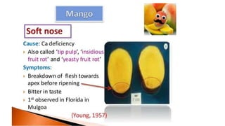 Macronutrient deficiency in plants