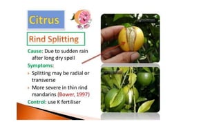 Macronutrient deficiency in plants