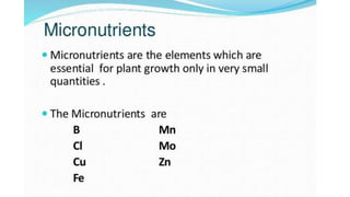 Macronutrient deficiency in plants