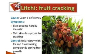 Macronutrient deficiency in plants