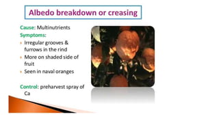 Macronutrient deficiency in plants