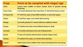 Macronutrient deficiency in plants