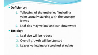 Macronutrient deficiency in plants