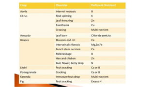 Macronutrient deficiency in plants
