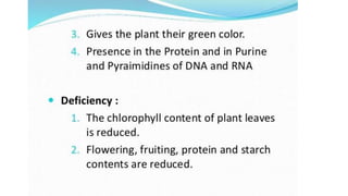 Macronutrient deficiency in plants