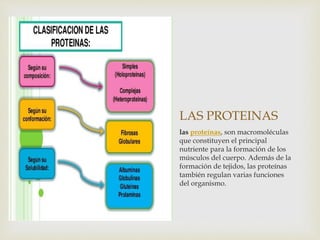 LAS PROTEINAS
las proteínas, son macromoléculas
que constituyen el principal
nutriente para la formación de los
músculos del cuerpo. Además de la
formación de tejidos, las proteínas
también regulan varias funciones
del organismo.
 