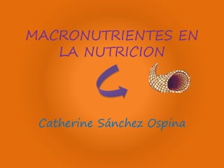 MACRONUTRIENTES EN
LA NUTRICION
Catherine Sánchez Ospina
 