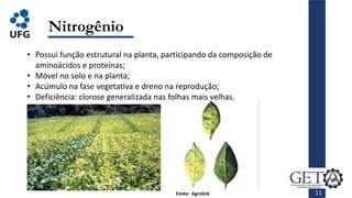11
Nitrogênio
Fonte: Agrolink
• Possui função estrutural na planta, participando da composição de
aminoácidos e proteínas;
• Móvel no solo e na planta;
• Acúmulo na fase vegetativa e dreno na reprodução;
• Deficiência: clorose generalizada nas folhas mais velhas.
 