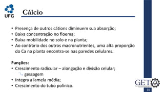 • Presença de outros cátions diminuem sua absorção;
• Baixa concentração no floema;
• Baixa mobilidade no solo e na planta;
• Ao contrário dos outros macronutrientes, uma alta proporção
do Ca na planta encontra-se nas paredes celulares.
Funções:
• Crescimento radicular – alongação e divisão celular;
gessagem
• Integra a lamela média;
• Crescimento do tubo polínico.
16
Cálcio
 