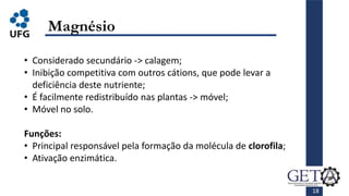 18
Magnésio
• Considerado secundário -> calagem;
• Inibição competitiva com outros cátions, que pode levar a
deficiência deste nutriente;
• É facilmente redistribuído nas plantas -> móvel;
• Móvel no solo.
Funções:
• Principal responsável pela formação da molécula de clorofila;
• Ativação enzimática.
 