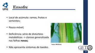 22
Enxofre
• Local de acúmulo: ramos, frutos e
sementes;
• Pouco móvel;
• Deficiência: série de distúrbios
metabólicos -> clorose generalizada
nas folhas novas;
• Não apresenta sintomas de toxidez.
Fonte: IPNI Brasil.
 