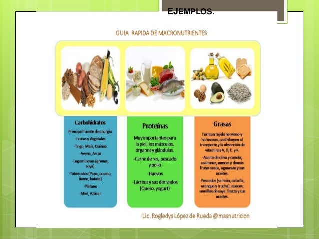 Macro nutrientes y micronutrientes