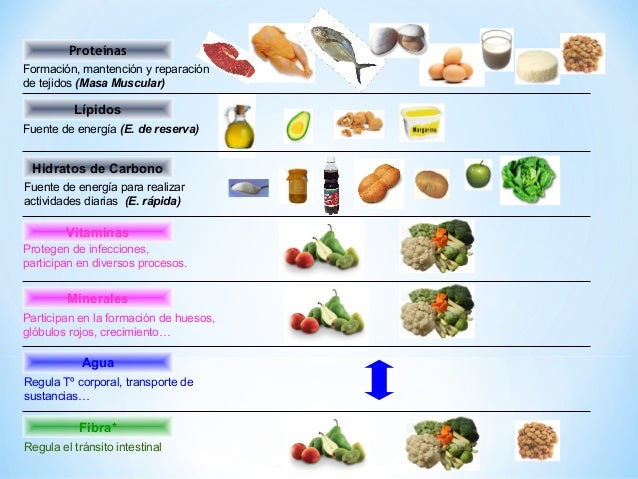 MACRONUTRIENTES Y MICRONUTRIENTES EPUB MACRONUTRIENTES Y MICRONUTRIENTES EPUB