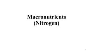Macronutrients
(Nitrogen)
1
 