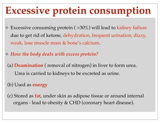 Excessive protein consumption
Excessive consuming protein ( >30%) will lead to kidney failure
due to get rid of ketone, dehydration, frequent urination, dizzy,
weak, lose muscle mass & bone’s calcium.
How the body deals with excess protein?
(a) Deamination ( removal of nitrogen) in liver to form urea.
Urea is carried to kidneys to be excreted as urine.
(b) Used as energy
(c) Stored as fat, under skin as adipose tissue or around internal
organs - lead to obesity & CHD (coronary heart disease).
 