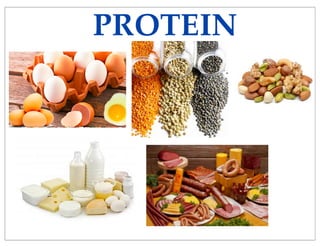PROTEIN
 