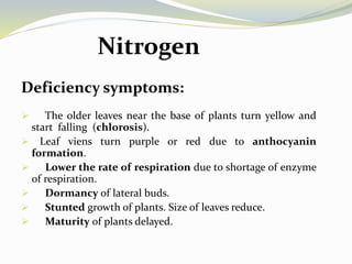 Macronutrients role in plants | PPTX