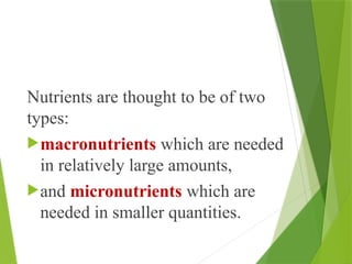 Nutrients are thought to be of two
types:
macronutrients which are needed
in relatively large amounts,
and micronutrients which are
needed in smaller quantities.
 