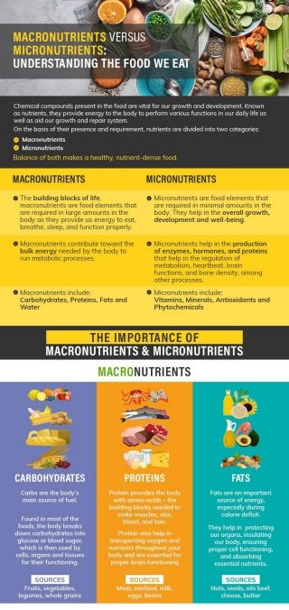 Macronutrients Versus Micronutrients: Understanding The Food We Eat
