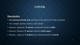 CONTD.
Disaccharides:
• two monosaccharide join and there is the removal of water molecule.
• for example, lactose, maltose, and sucrose.
• Glucose+ galactose  lactose (commonly found in milk)
• Glucose+ fructose  sucrose (found in table sugar)
• Glucose + glucose  maltose (key structural motif of starch)
10
 
