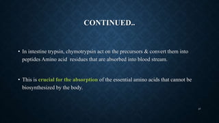 CONTINUED..
• In intestine trypsin, chymotrypsin act on the precursors & convert them into
peptides Amino acid residues that are absorbed into blood stream.
• This is crucial for the absorption of the essential amino acids that cannot be
biosynthesized by the body.
27
 