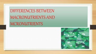 DIFFERENCES BETWEEN
MACRONUTRIENTS AND
MCRONUTRIENTS
 