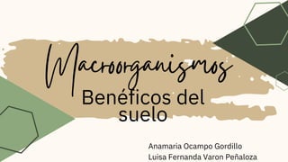 Macroorganismos
Benéficos del
suelo
Anamaria Ocampo Gordillo
Luisa Fernanda Varon Peñaloza
 