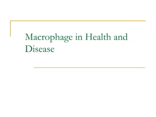 Macrophage in Health and
Disease
 