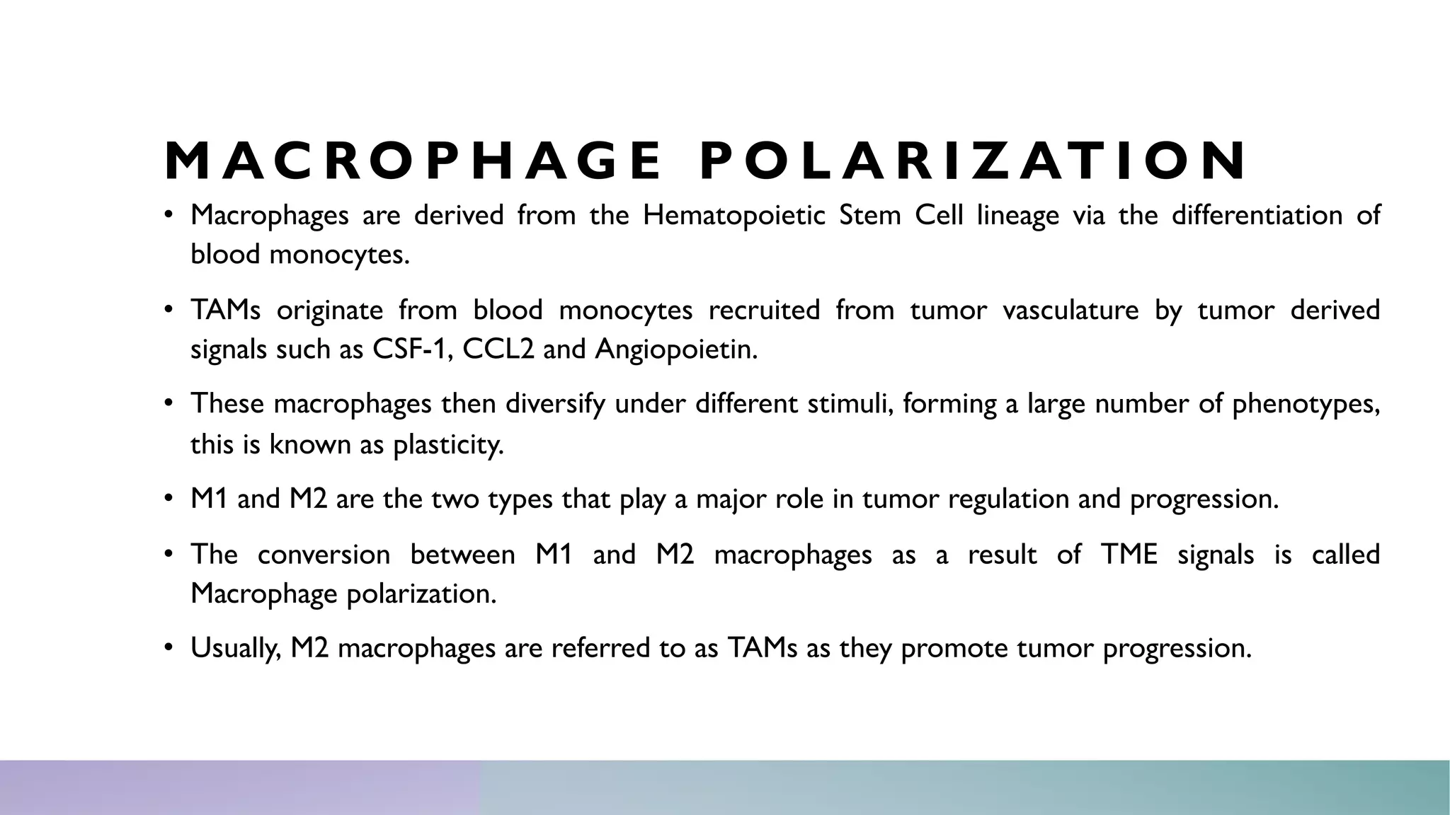 Macrophage polarization in Cancer | PDF