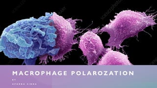 Macrophage polarization in Cancer | PDF