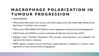 Macrophage polarization in Cancer | PDF