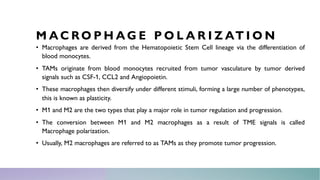 Macrophage polarization in Cancer | PDF
