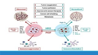 Macrophage polarization by HRG and its effects on Tumor | PPTX
