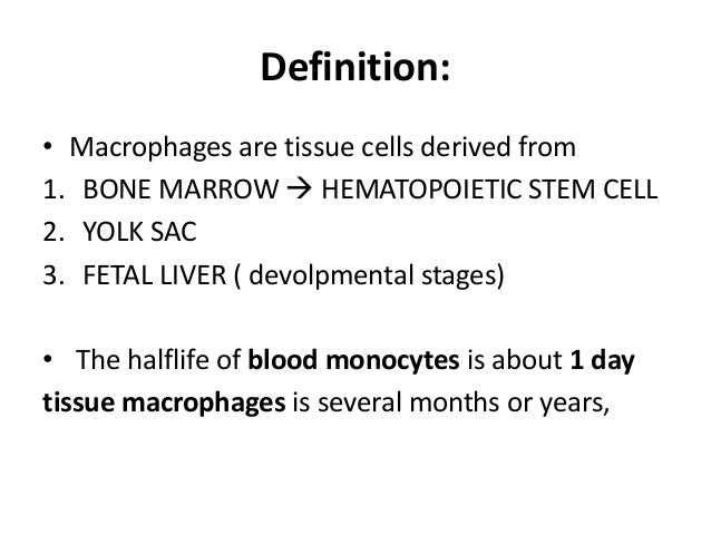 Macrophages