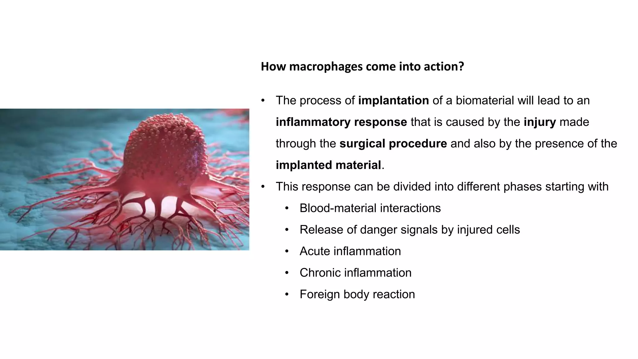 • The process of implantation of a biomaterial will lead to an
inflammatory response that is caused by the injury made
through the surgical procedure and also by the presence of the
implanted material.
• This response can be divided into different phases starting with
• Blood-material interactions
• Release of danger signals by injured cells
• Acute inflammation
• Chronic inflammation
• Foreign body reaction
How macrophages come into action?
 