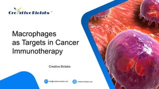 Creative Biolabs
creative-biolabs.com
info@creative-biolabs.com
Macrophages
as Targets in Cancer
Immunotherapy
 