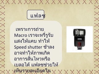 แฟลช

 เพราะการถ่าย
Macro เราจะหรี่รูรับ
แสงให้แคบ ทำาให้
Speed shutter ช้าลง
อาจทำาให้ภาพเกิด
อาการสันไหวหรือ
       ่
เบลอได้ แฟลชช่วยให้
เห็นรายละเอียดใน
 