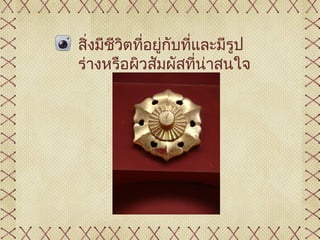 สิงมีชวิตที่อยูกับที่และมีรูป
  ่   ี        ่
ร่างหรือผิวสัมผัสที่น่าสนใจ
 