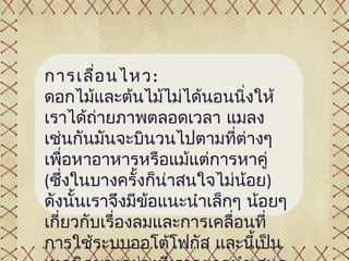 การเลื่อ นไหว: 
ดอกไม้และต้นไม้ไม่ได้นอนนิ่งให้
เราได้ถ่ายภาพตลอดเวลา แมลง
เช่นกันมันจะบินวนไปตามที่ต่างๆ
เพื่อหาอาหารหรือแม้แต่การหาคู่
(ซึ่งในบางครั้งก็น่าสนใจไม่น้อย) 
ดังนั้นเราจึงมีขอแนะนำาเล็กๆ น้อยๆ
                 ้
เกี่ยวกับเรื่องลมและการเคลื่อนที่
การใช้ระบบออโต้โฟกัส และนี้เป็น
 
