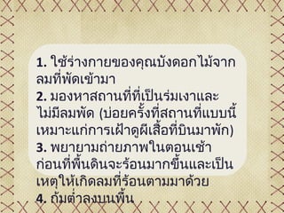 1. ใช้ร่างกายของคุณบังดอกไม้จาก
ลมที่พดเข้ามา
       ั
2. มองหาสถานที่ที่เป็นร่มเงาและ
ไม่มลมพัด (บ่อยครั้งที่สถานที่แบบนี้
     ี
เหมาะแก่การเฝ้าดูผีเสื้อที่บนมาพัก)
                            ิ
3. พยายามถ่ายภาพในตอนเช้า
ก่อนที่พนดินจะร้อนมากขึ้นและเป็น
          ื้
เหตุให้เกิดลมที่ร้อนตามมาด้วย
4. ก้มตำ่าลงบนพืน
                ้
 
