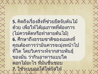 5. คิดถึงเรื่องสิ่งที่ช่วยยึดจับต้นไม้
ด้วย เพื่อให้ได้มมภาพที่ต้องการ
                   ุ
(ไม่ควรตัดหรือทำาลายต้นไม้)
6. ศึกษาถึงธรรมชาติของแมลงที่
คุณต้องการว่ามันควรจะมุ่งหน้าไป
ที่ใด โดยวิเคราะห์จากสายพันธุ์
ของมัน ว่ากินอาหารแบบใด
ดอกไม้อะไร ที่มันชื่นชอบ
7. ใช้ระบบออโต้โฟกัสให้
 