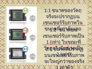 1:1 ขนาดของวัตถุ
   จริงจะปรากฏบน
เซนเซอร์รับภาพใน
 ขนาดทีเท่ากันเลย
           ่
     1:2 ขนาดบน
เซนเซอร์รับภาพเป็น
   1 (เท่า) ในขณะที่
 วั2:1 จริงมีขนาดเป็น
   ตถุ ขนาดทีปรากฏ
                ่
         2 (เท่า ร
 บนเซนเซอร์) ับภาพ
 จะใหญ่กว่าของจริง
 